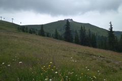 IMG_20220721_113342
