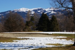 DSC02740