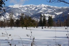 DSC02590
