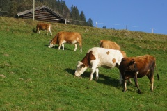 hohetauern-10