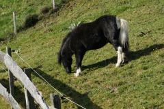 hohetauern-4