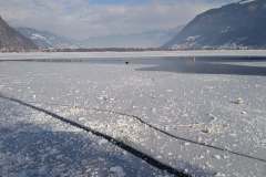 IMG_20260126_105124
