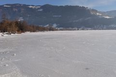 IMG_20260126_110758