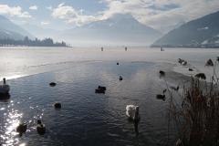 IMG_20260126_111849