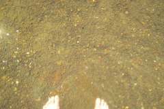 IMG_20210526_120353
