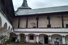 zirovnice3