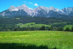 IMG_20210726_122056