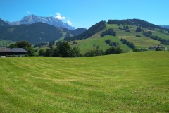 IMG_20210726_122608