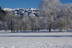 DSC02598