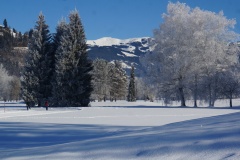 DSC02600