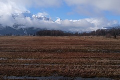 IMG_20250227_094736
