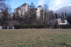 IMG_20250227_101213