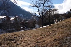 IMG_20250227_103827