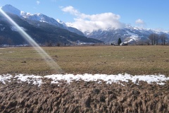 IMG_20250227_113115