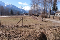 IMG_20250227_113940