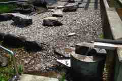 IMG_20210727_112803