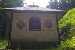 IMG_20210727_113316