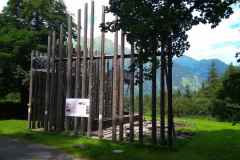 IMG_20210727_113715