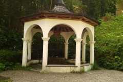 IMG_20210727_114131