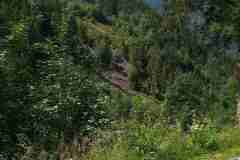 IMG_20210727_114540