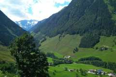 IMG_20210727_115203