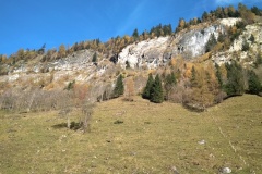 IMG_20221028_125442