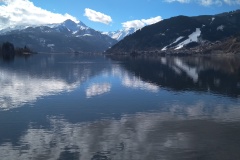 IMG_20250228_120239