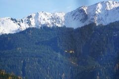 DSC03616