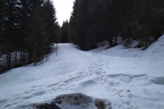 IMG_20180403_112601