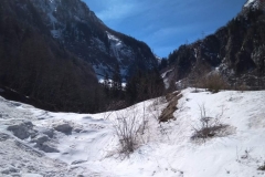 IMG_20190330_110328