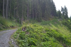 IMG_20200630_124158
