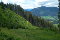 IMG_20200630_124202