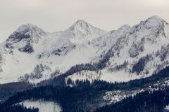 DSC01524