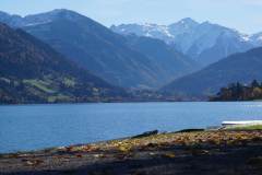 DSC03666