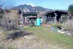 IMG_20240304_110349
