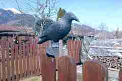 IMG_20240304_110526