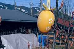 IMG_20240304_110622
