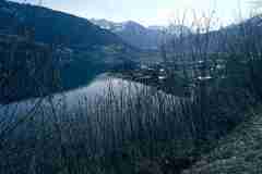 IMG_20240304_120042