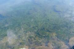 IMG_20240304_123319