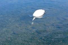 IMG_20240304_123513