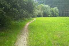 IMG_20220706_103425