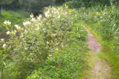 IMG_20220706_104251
