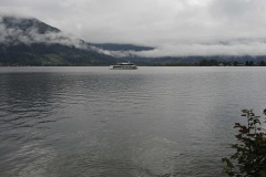 zell-1 zell-1