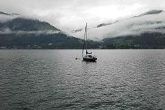 zell-4 zell-4