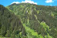 IMG_20200707_115334