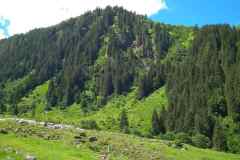 IMG_20200707_115339