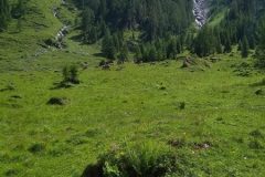 IMG_20200707_120922