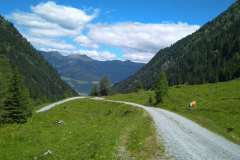IMG_20200707_120936
