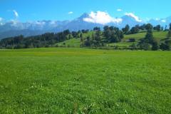IMG_20200807_103050