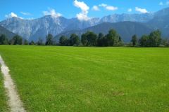 IMG_20200807_104610